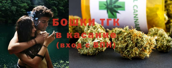 трава Осинники